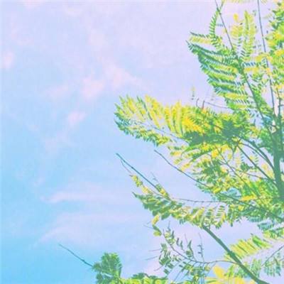 qq梦幻海底手机版下载